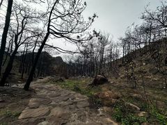 -青龙山景区