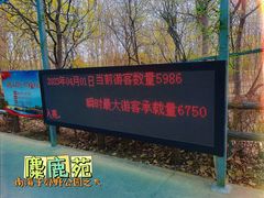 -北京麋鹿生态实验中心
