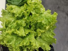 -啊美丽炭火烤肉(滑翔一店)