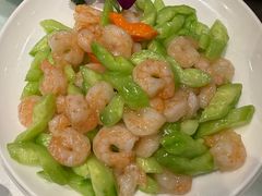 -新侨小馆(东直门北小街店)