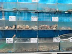 -宾朋海鲜饭庄(兴海路店)