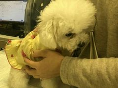 -爱诺耐芙动物医院(万博店)