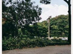 -广州市帽峰山景区
