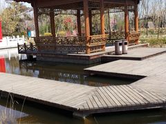 -武清南湖绿博园