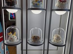 -DQ·蛋糕·冰淇淋(天通苑华联店)