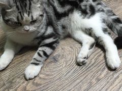 -小时光咖啡馆(开森度假森林店)