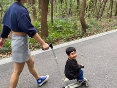 -同里国家湿地公园
