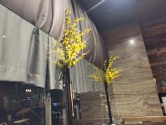 -海食焗(新光天地店)