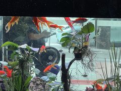 -贵州人家·酸汤火锅·20年老字号