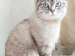 -艾贝尔宠物医院·狂犬免疫点(江山金象城店)