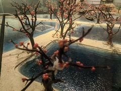 -中国湿地博物馆