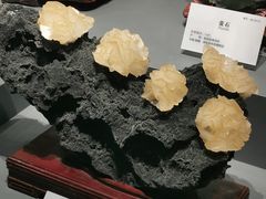 -湖南省地质博物馆