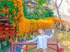 -桃花涧