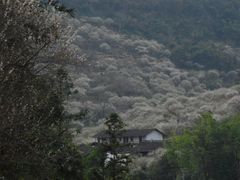 -福建天门山