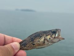 -银沙滩浴场