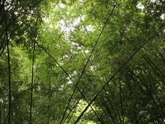 -四洞沟景区