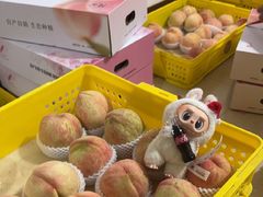 -老袁家蜜桃农场·阳山水蜜桃