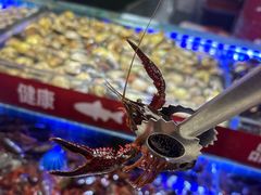 -四囍码头海鲜烧烤自助火锅(外滩南京东路悦荟广场店)