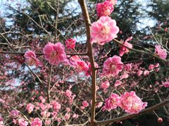 -白塘生态植物园