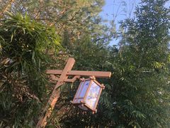 -崇阳三特浪口温泉