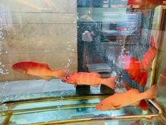 -海逸海鲜酒家(古北店)