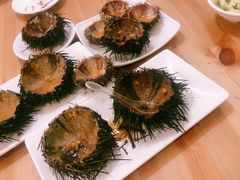 -海胆小馆(东北水饺·春柳店)