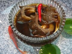 -诺莱仕游艇会