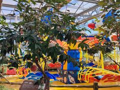 -南宫五洲植物乐园