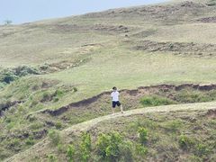 -草原天路(张北县)
