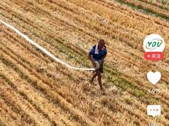 -达美乐比萨(留仙大道店)