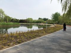 -大兴滨河森林公园