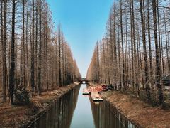 -黄海国家森林公园
