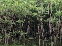 -洨河生态公园