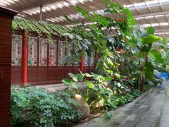 -兴芮温泉度假区