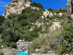 -白草畔自然风景区