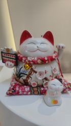 -VE专注问题肌·赛诺龙&科学美肤中心