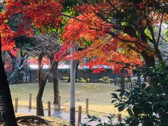-水前寺成趣园