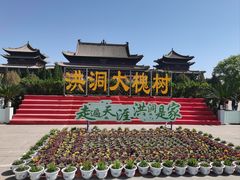 -大槐树寻根祭祖园