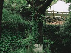 -宁波市保国寺古建筑博物馆