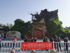 -大槐树寻根祭祖园