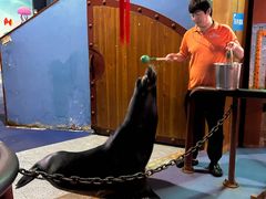 -太平洋海底世界