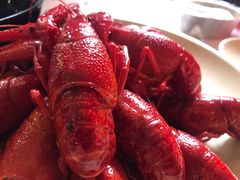 小龙虾-巴厘龙虾·榜首油焖大虾(洞庭·艺术洋房店)