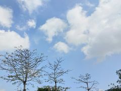-叶挺将军纪念园