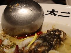 -太二酸菜鱼(金沙印象城店)