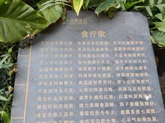 -观澜山水田园