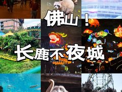 -长鹿旅游休博园