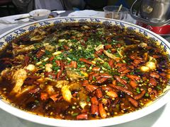 来凤鱼-新概念来凤鱼(璧山店)