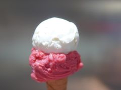 -Dip in Gelato(富民路店)