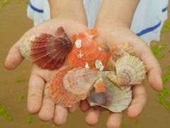 -青岛银沙滩