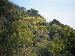 -杭州半山国家森林公园